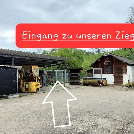 Ferienwohnung/Monteurzimmer Auf Dem Bauernhof Moerlenbach Экстерьер фото