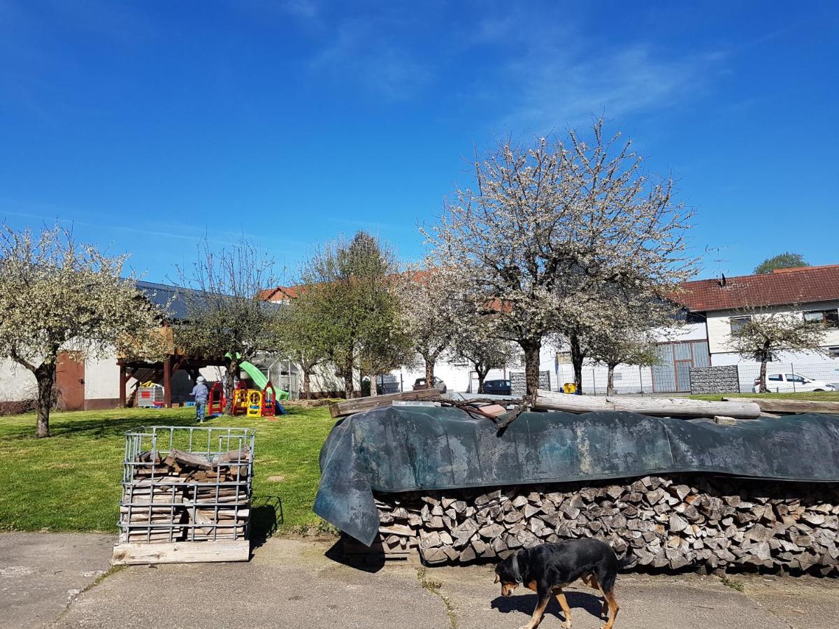 Ferienwohnung/Monteurzimmer Auf Dem Bauernhof Moerlenbach Экстерьер фото