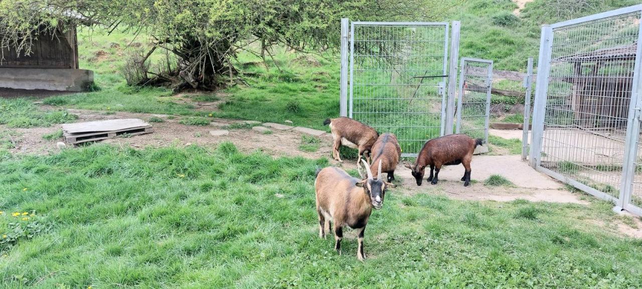 Ferienwohnung/Monteurzimmer Auf Dem Bauernhof Moerlenbach Экстерьер фото