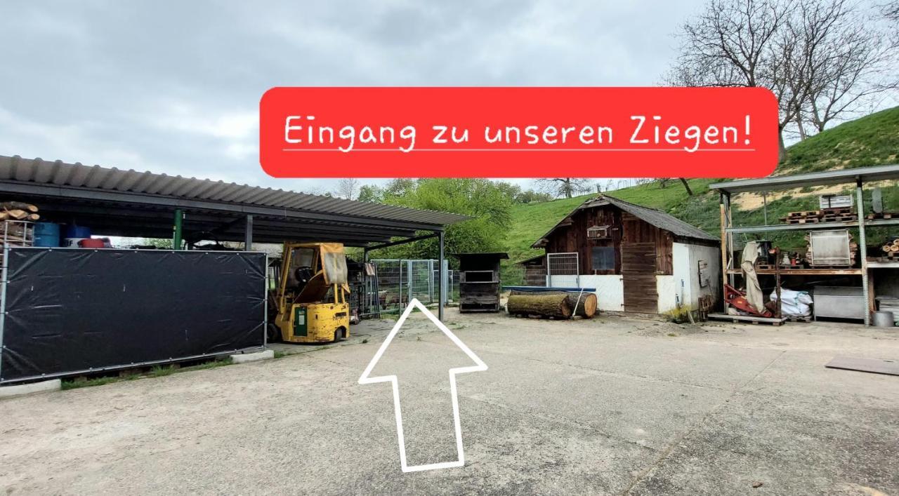 Ferienwohnung/Monteurzimmer Auf Dem Bauernhof Moerlenbach Экстерьер фото
