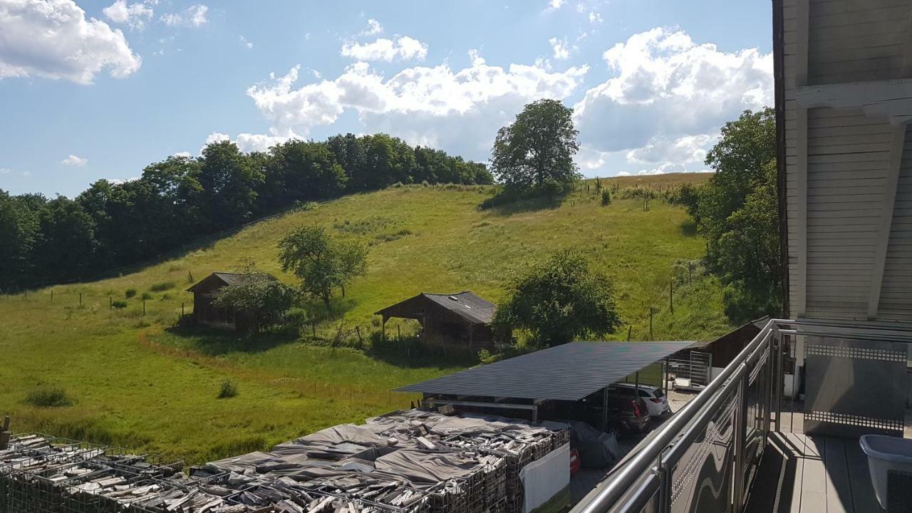 Ferienwohnung/Monteurzimmer Auf Dem Bauernhof Moerlenbach Экстерьер фото