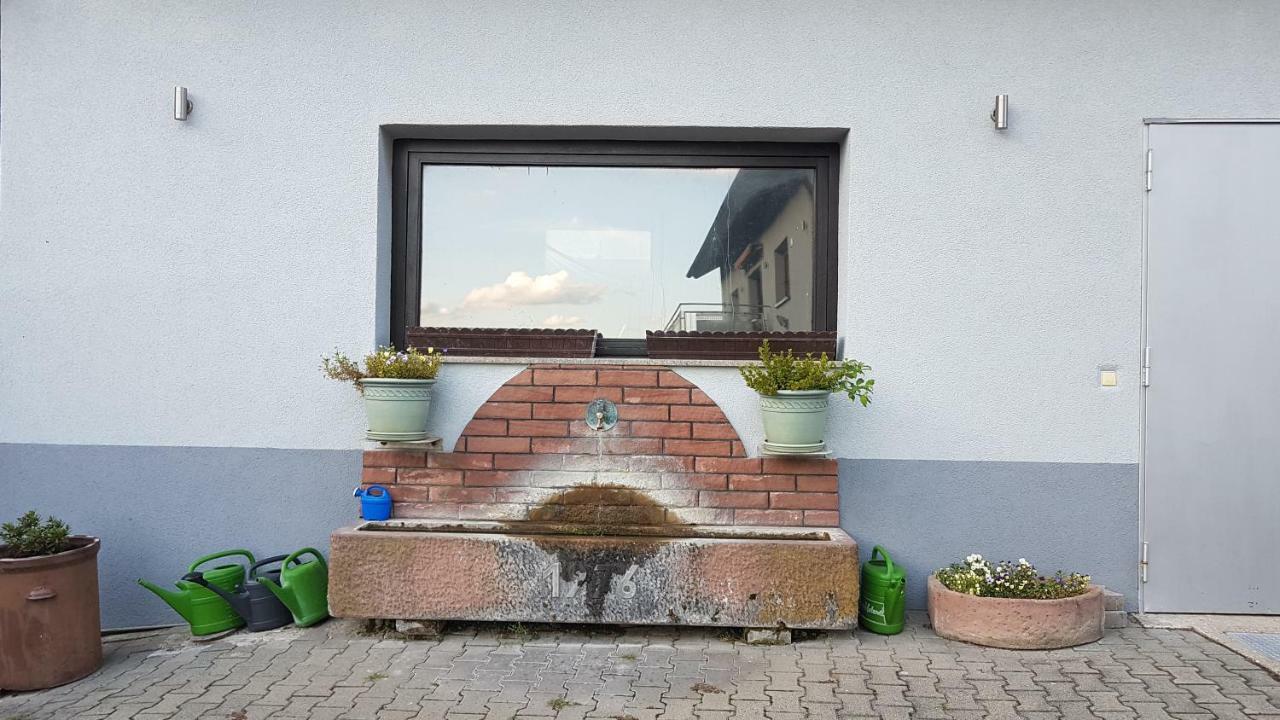 Ferienwohnung/Monteurzimmer Auf Dem Bauernhof Moerlenbach Экстерьер фото