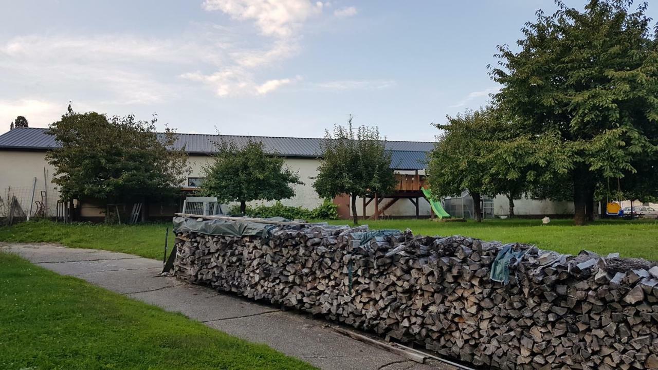 Ferienwohnung/Monteurzimmer Auf Dem Bauernhof Moerlenbach Экстерьер фото